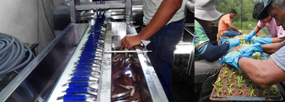 Produce_concuerso