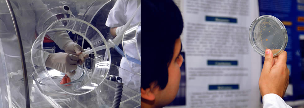 concytec_concurso