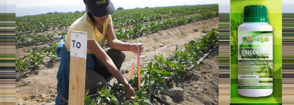FINCyT_agro