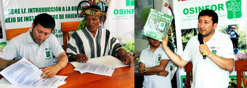 osinfor_forestal