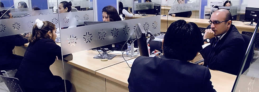 pcm_servicio_civil