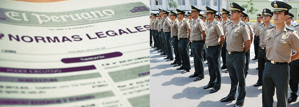 seguridad_ciudadana