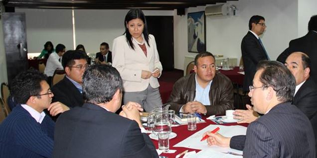 asistencia ONGEI-PCM