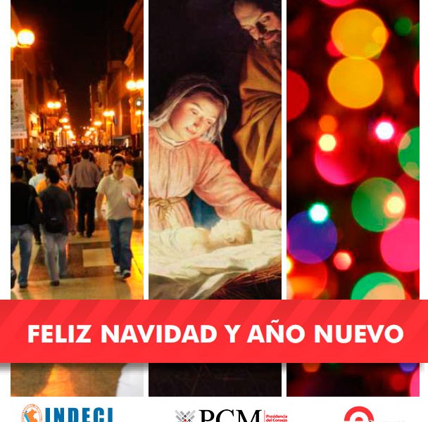cartillainformativa_navidad_año_nuevo