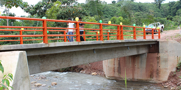 devida_puente_huanuco