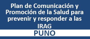 plan_com_puno