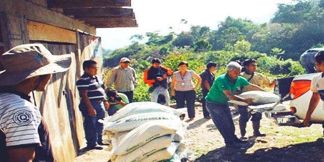 devida_abonos_cacao_pcm_peru