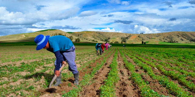 minagri_junin_cmd_tarma_pcm_peru