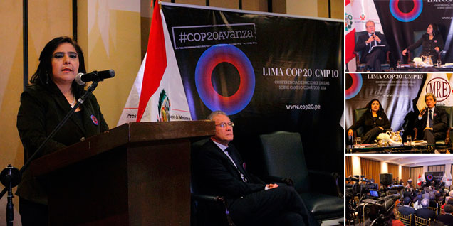 ana_jara_cop20_pcm_peru_01