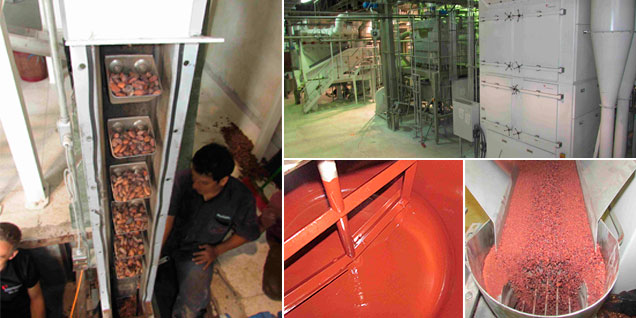 codehuallaga_planta_pcm_peru