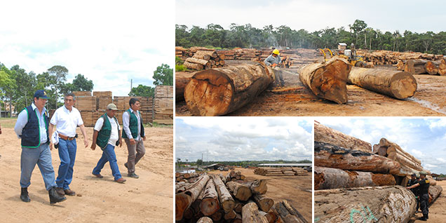 tala_ilegal_pcm_peru_madre_dios