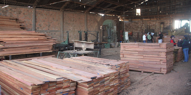 En megaoperativo contra la Tala Ilegal inmovilizan gran cantidad de madera en Loreto