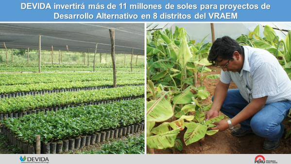 DEVIDA destinará más de 11 millones de soles para proyectos alternativos en ocho distritos del VRAEM