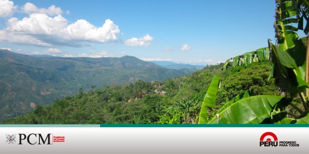PCM: Se invertirá S/. 250 millones en desarrollo de la Selva Central