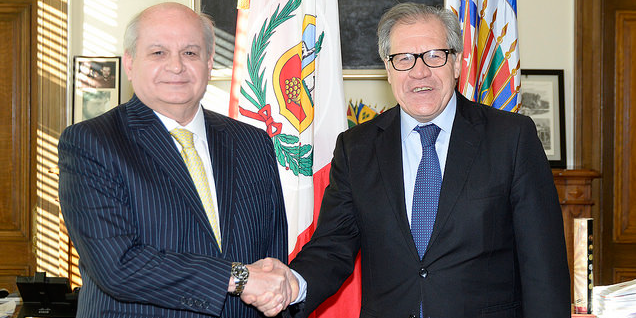 Pedro Cateriano: OEA observará elecciones generales del 10 de abril