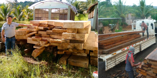 Decomisan más de diez mil pies tablares de madera en operativo conjunto en la zona del VRAEM