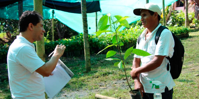 Evalúan a más de 500 agricultores del VRAEM para la certificación de competencias en cacao y café