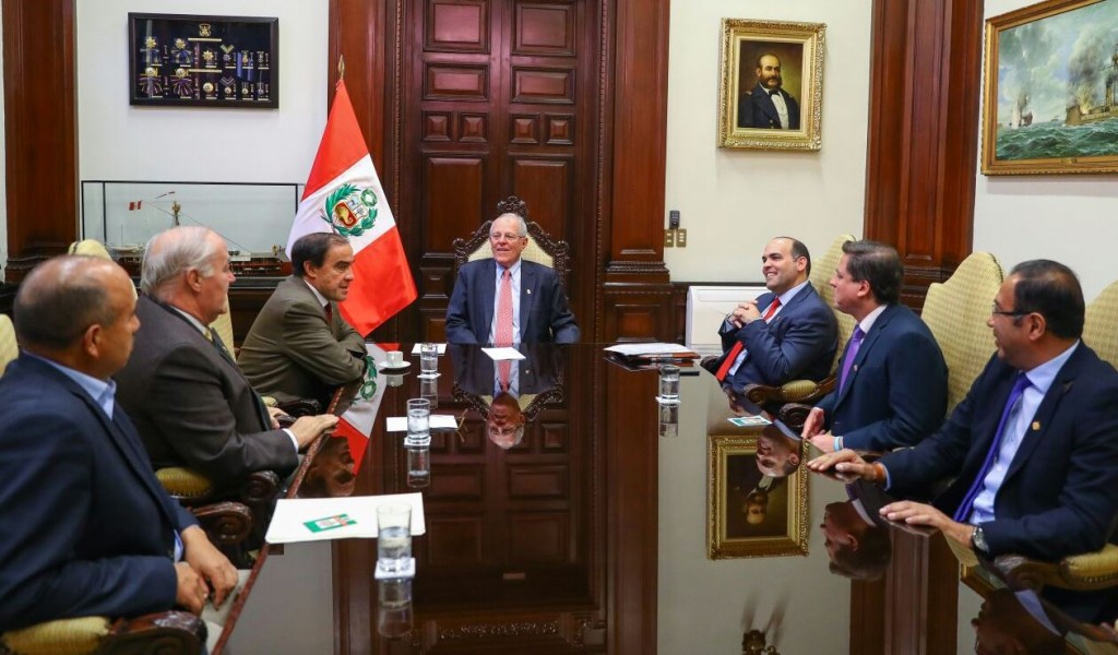 Reunión Acción Popular